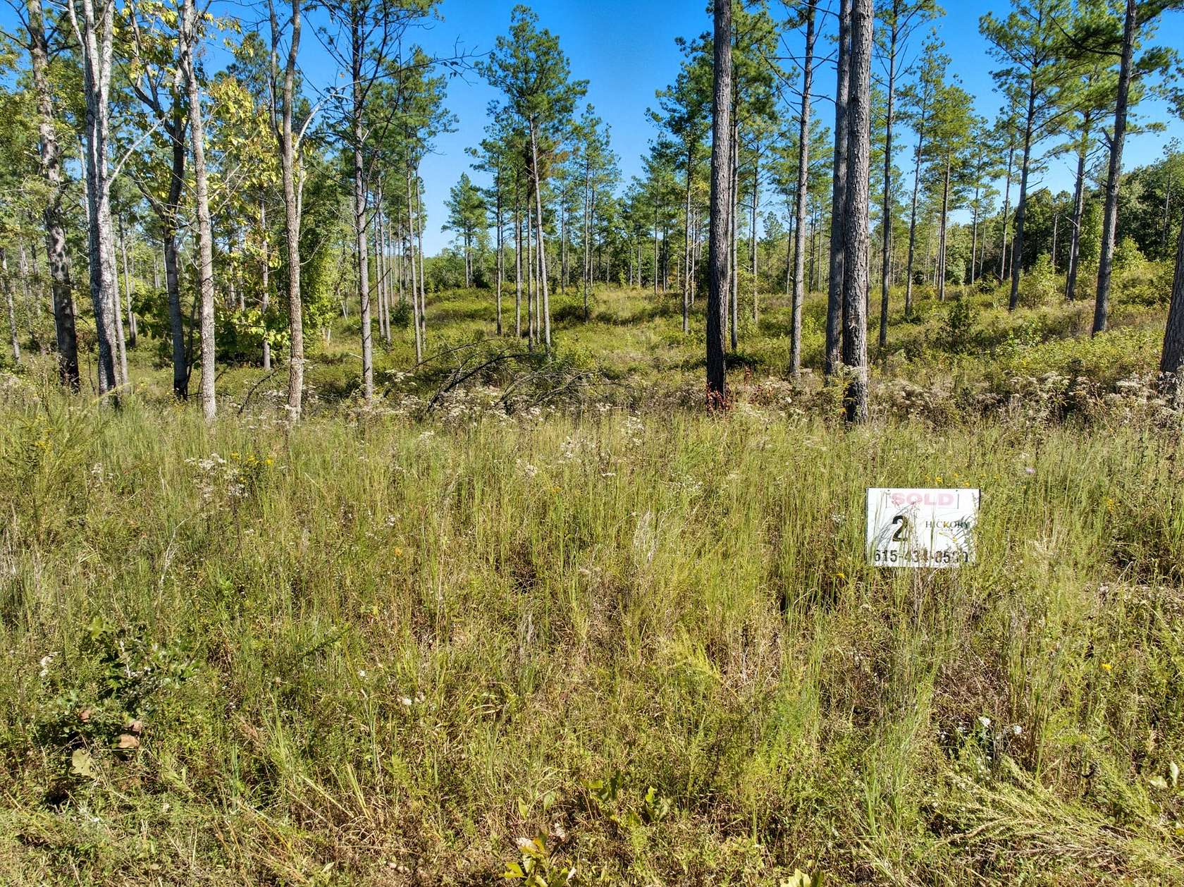 5 Acres of Mixed-Use Land for Sale in Dover, Tennessee