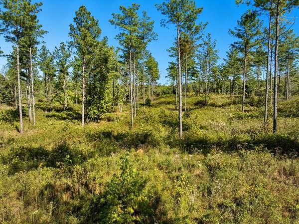 5 Acres of Mixed-Use Land for Sale in Dover, Tennessee