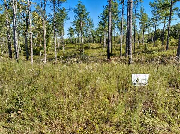 5 Acres of Residential Land for Sale in Dover, Tennessee