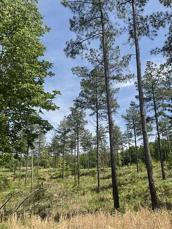 5 Acres of Mixed-Use Land for Sale in Dover, Tennessee