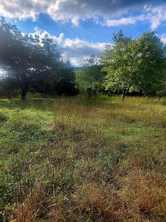 3.8 Acres of Residential Land with Home for Sale in Trenton, Georgia