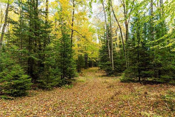 356 Acres of Recreational Land for Sale in Wittenberg, Wisconsin
