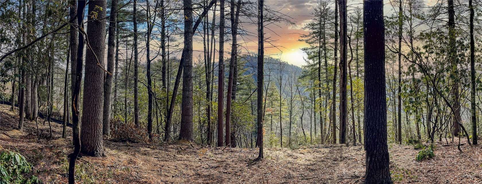 1.2 Acres of Residential Land for Sale in Cashiers, North Carolina