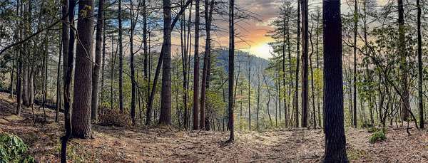 1.2 Acres of Residential Land for Sale in Cashiers, North Carolina