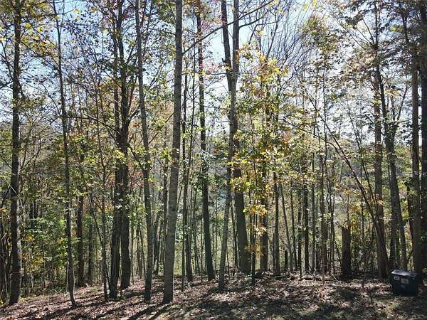 0.36 Acres of Land for Sale in Cashiers, North Carolina