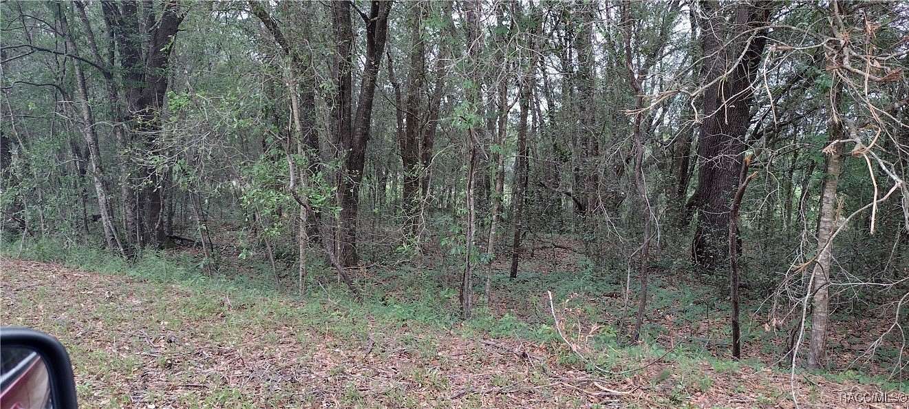 0.84 Acres of Residential Land for Sale in Dunnellon, Florida