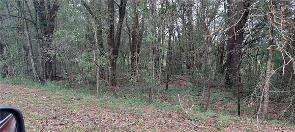 0.84 Acres of Residential Land for Sale in Dunnellon, Florida