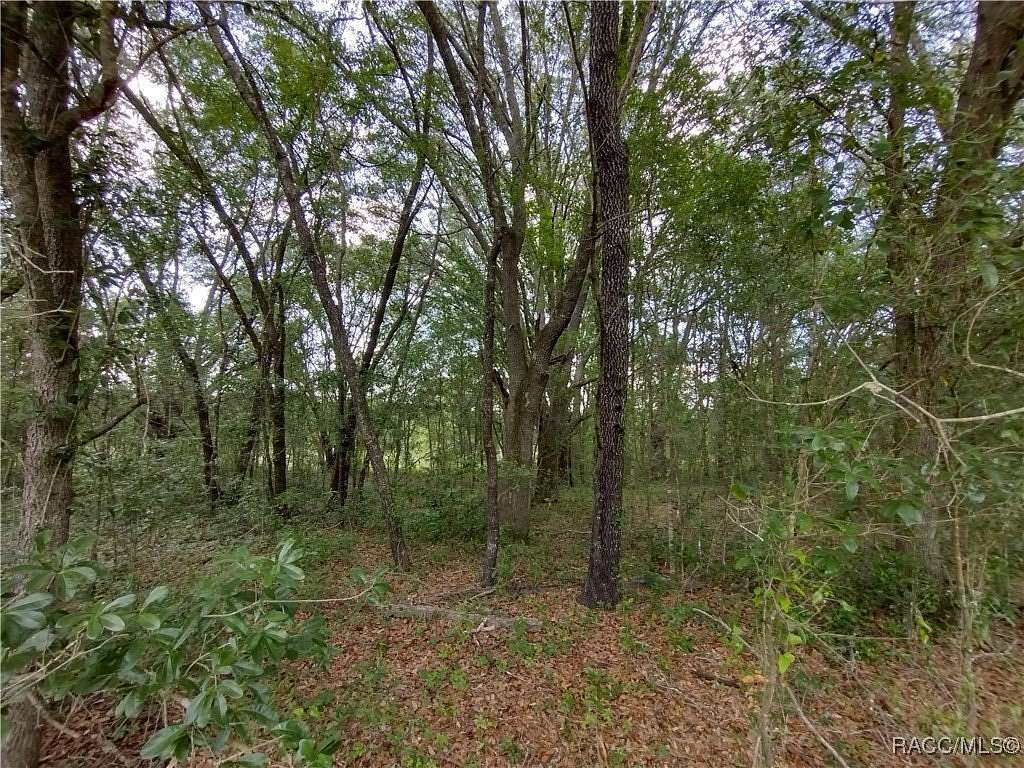 0.43 Acres of Residential Land for Sale in Dunnellon, Florida