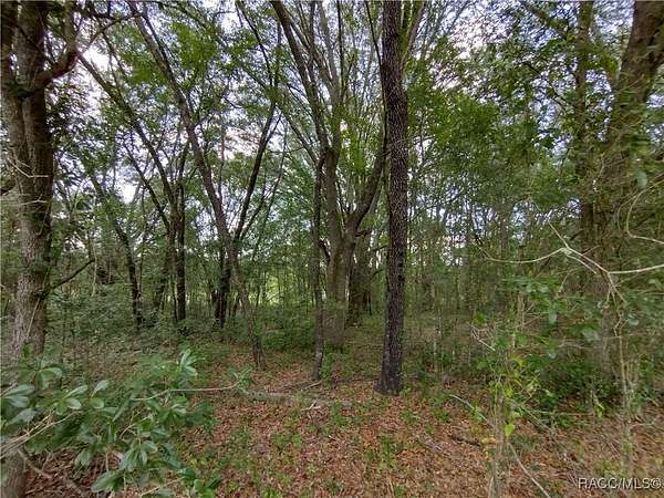 0.43 Acres of Residential Land for Sale in Dunnellon, Florida