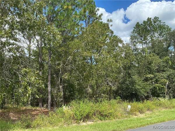 0.5 Acres of Residential Land for Sale in Inverness, Florida
