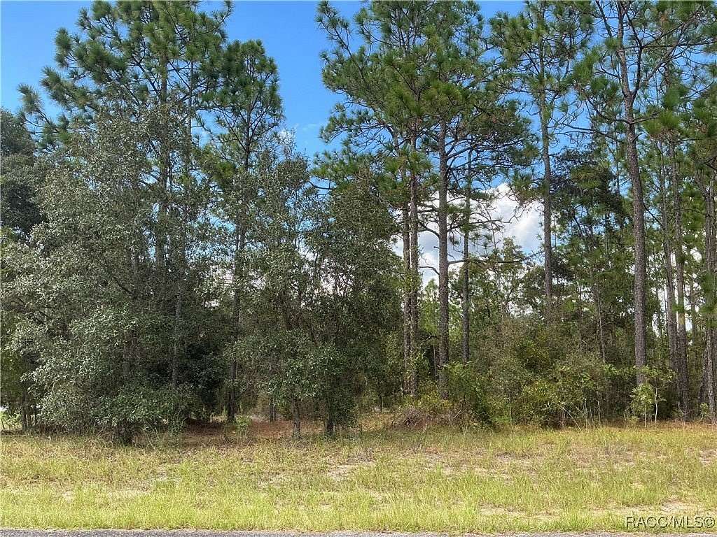 0.41 Acres of Residential Land for Sale in Dunnellon, Florida