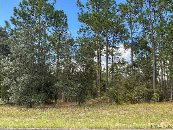 0.41 Acres of Residential Land for Sale in Dunnellon, Florida