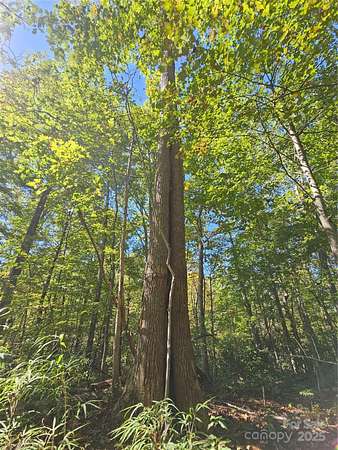 0.67 Acres of Land for Sale in Old Fort, North Carolina