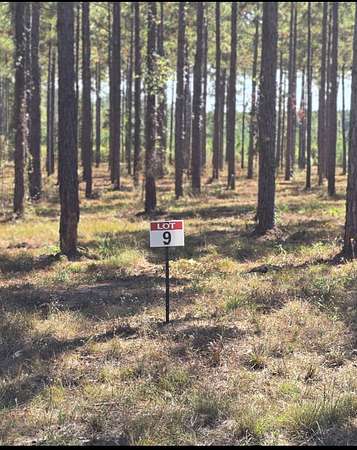 0.57 Acres of Residential Land for Sale in Florien, Louisiana