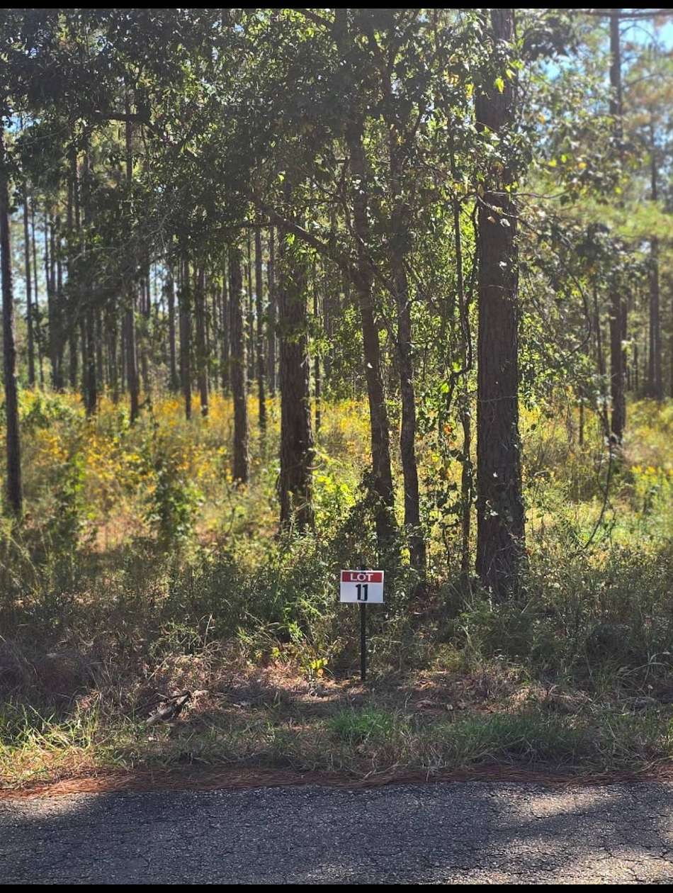 0.5 Acres of Residential Land for Sale in Florien, Louisiana