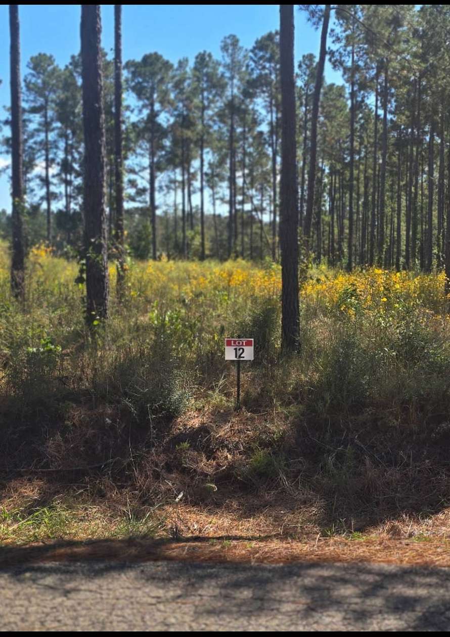 0.58 Acres of Residential Land for Sale in Florien, Louisiana