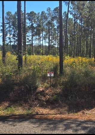 0.58 Acres of Residential Land for Sale in Florien, Louisiana