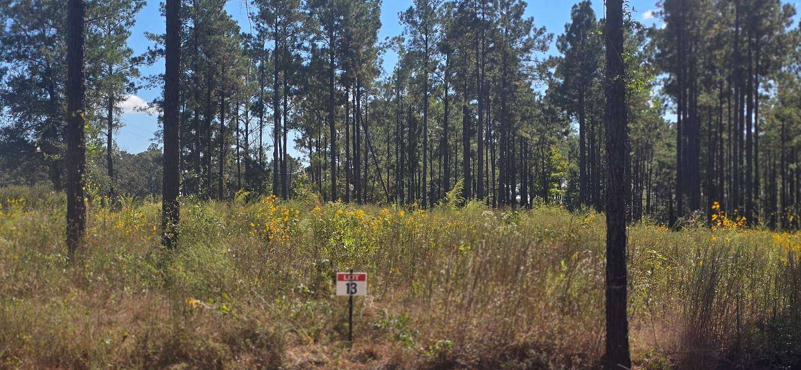 0.51 Acres of Residential Land for Sale in Florien, Louisiana