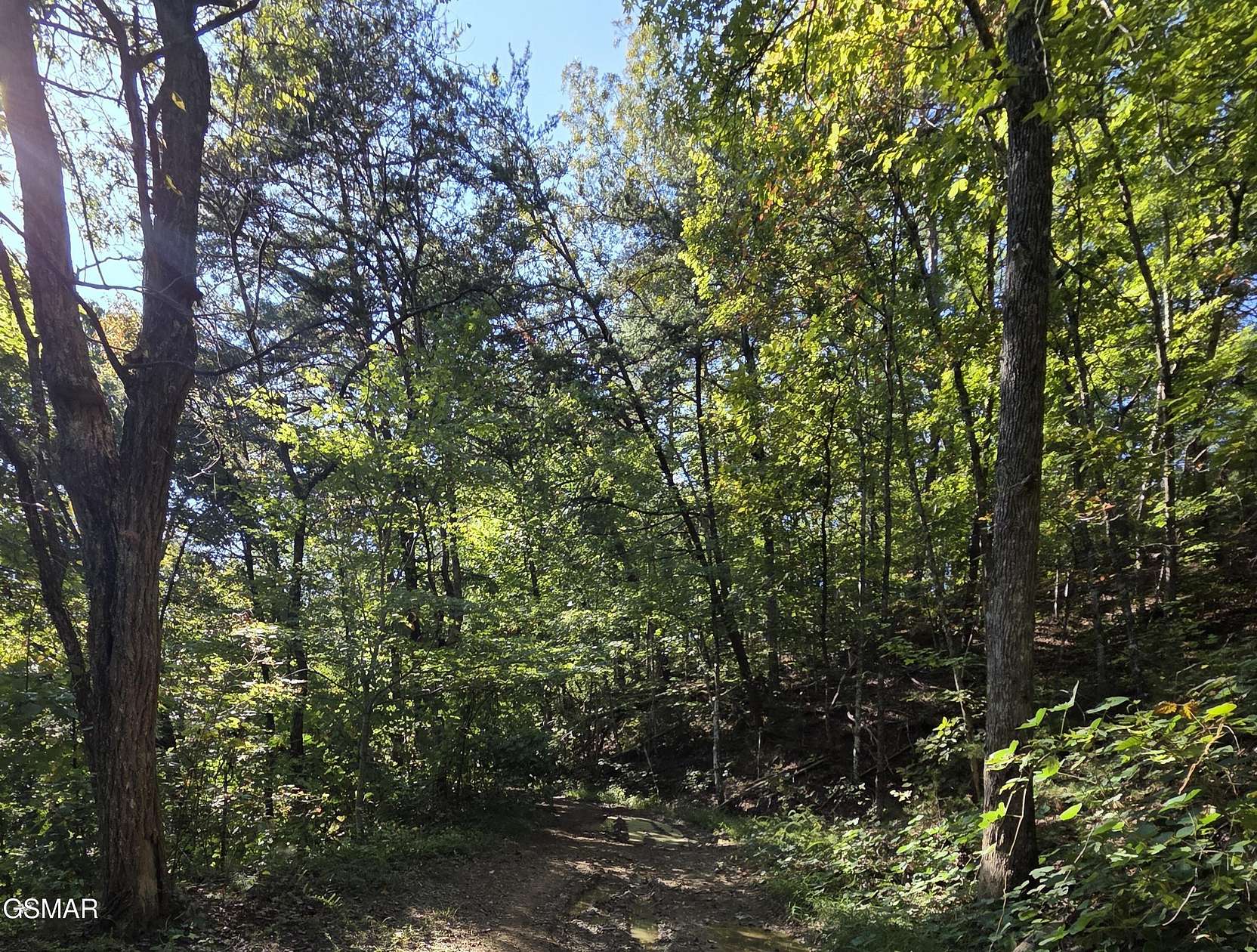 0.35 Acres of Residential Land for Sale in Sevierville, Tennessee