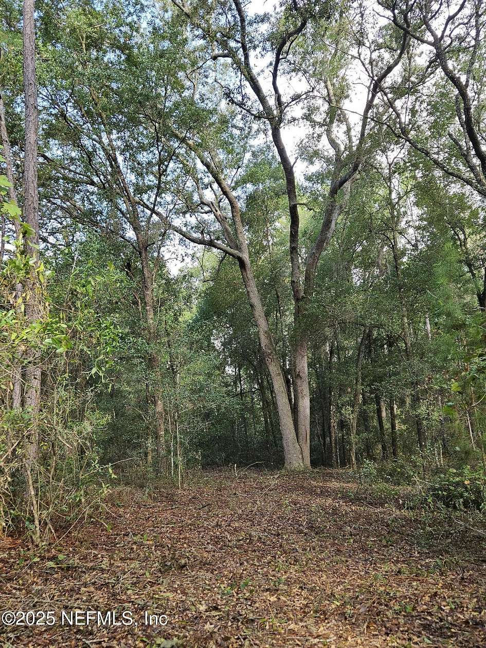 1 Acre of Residential Land for Sale in Pomona Park, Florida