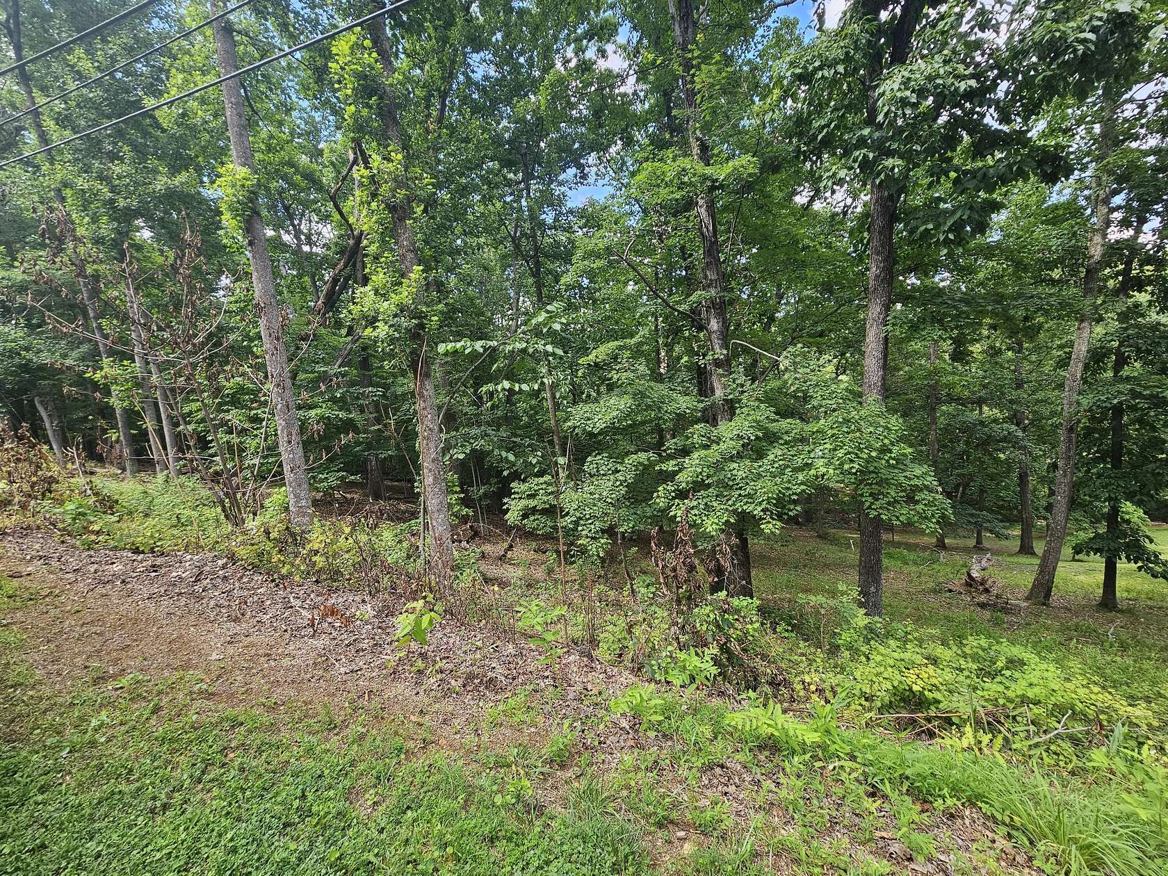 1.39 Acres of Residential Land for Sale in Blue Ridge, Virginia