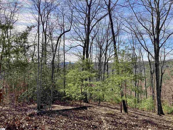 2 Acres of Residential Land for Sale in Travelers Rest, South Carolina