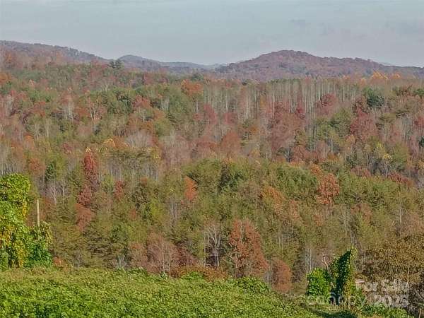 100 Acres of Recreational Land for Sale in Union Mills, North Carolina