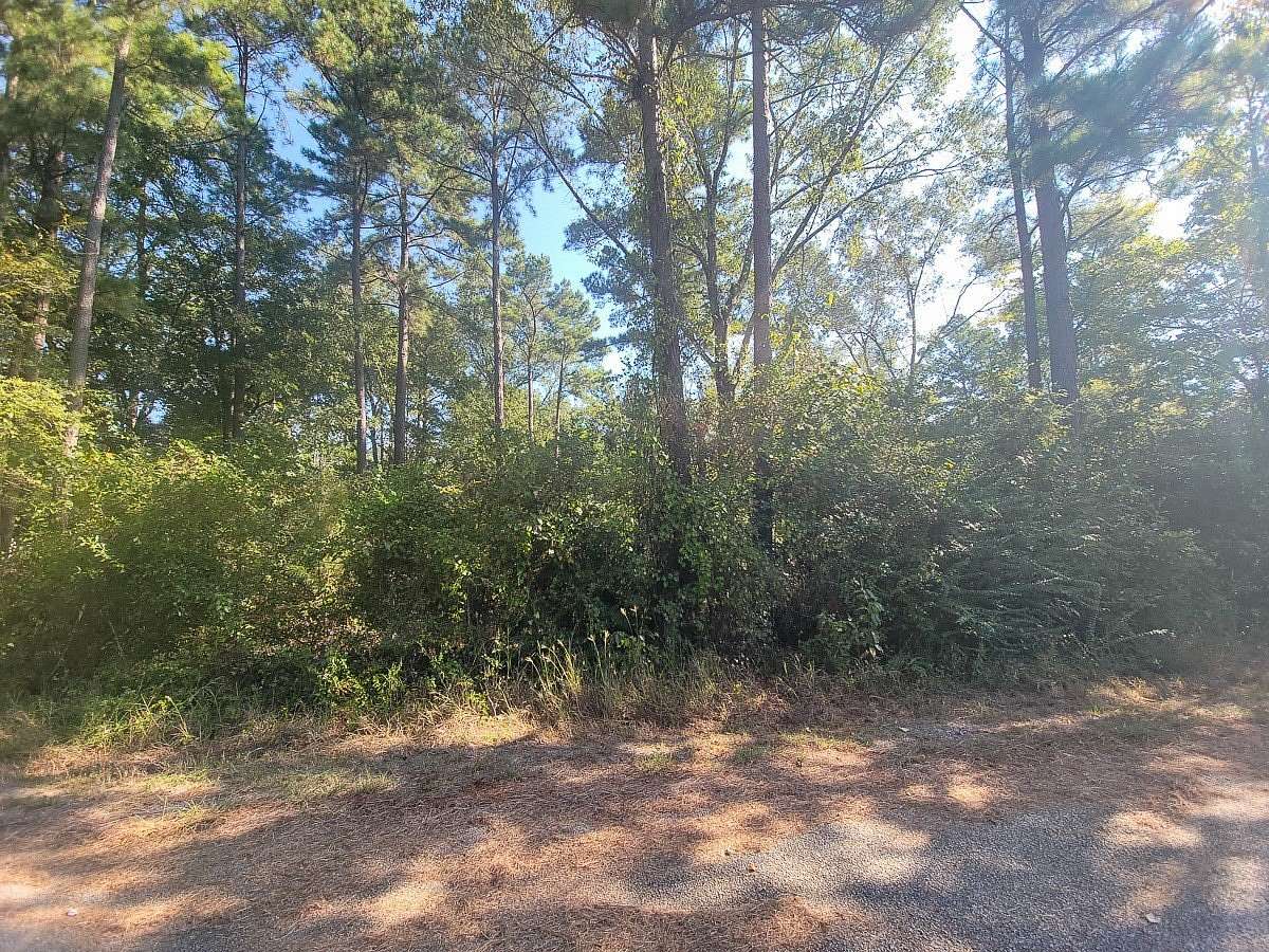 Residential Land for Sale in Huntsville, Texas