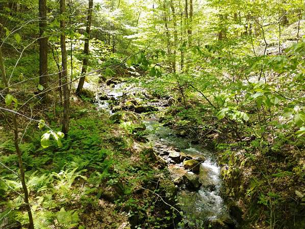 22.6 Acres of Land for Sale in Guilford, Vermont