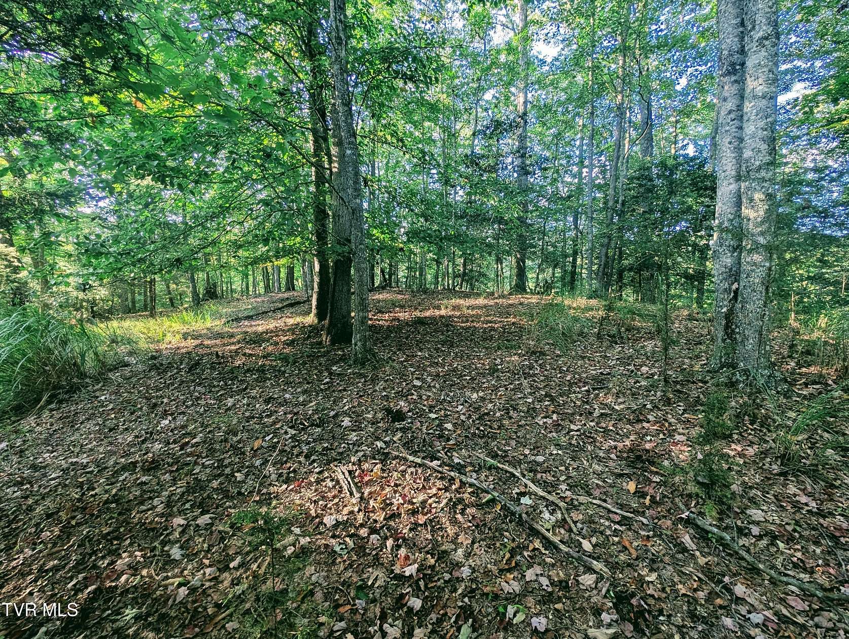 30.1 Acres of Land for Sale in Haysi, Virginia