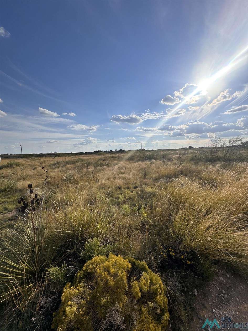 2 Acres of Residential Land for Sale in Portales, New Mexico