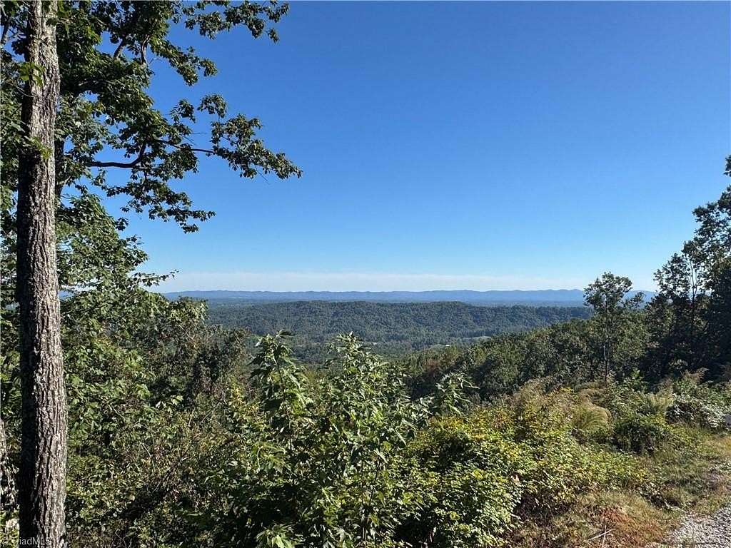 10.6 Acres of Land for Sale in McGrady, North Carolina