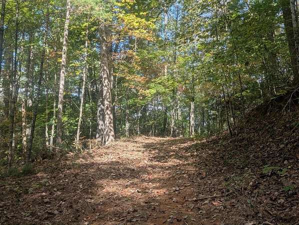 5.47 Acres of Land for Sale in Blairsville, Georgia