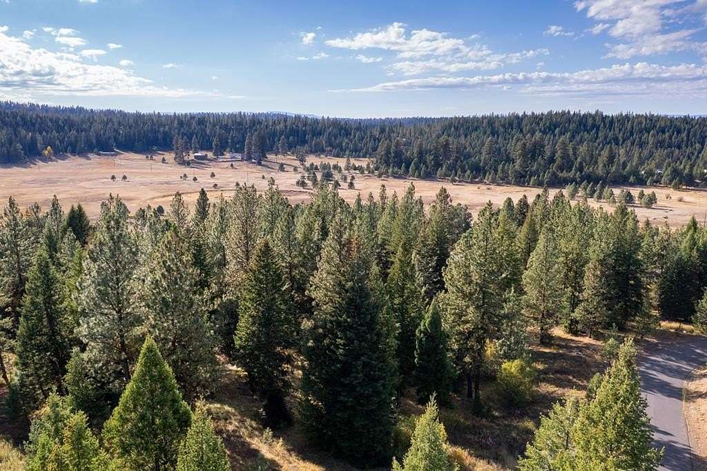 2 Acres of Land for Sale in McCall, Idaho