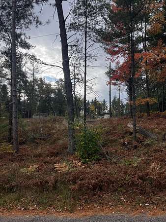 Land for Sale in St. Helen, Michigan
