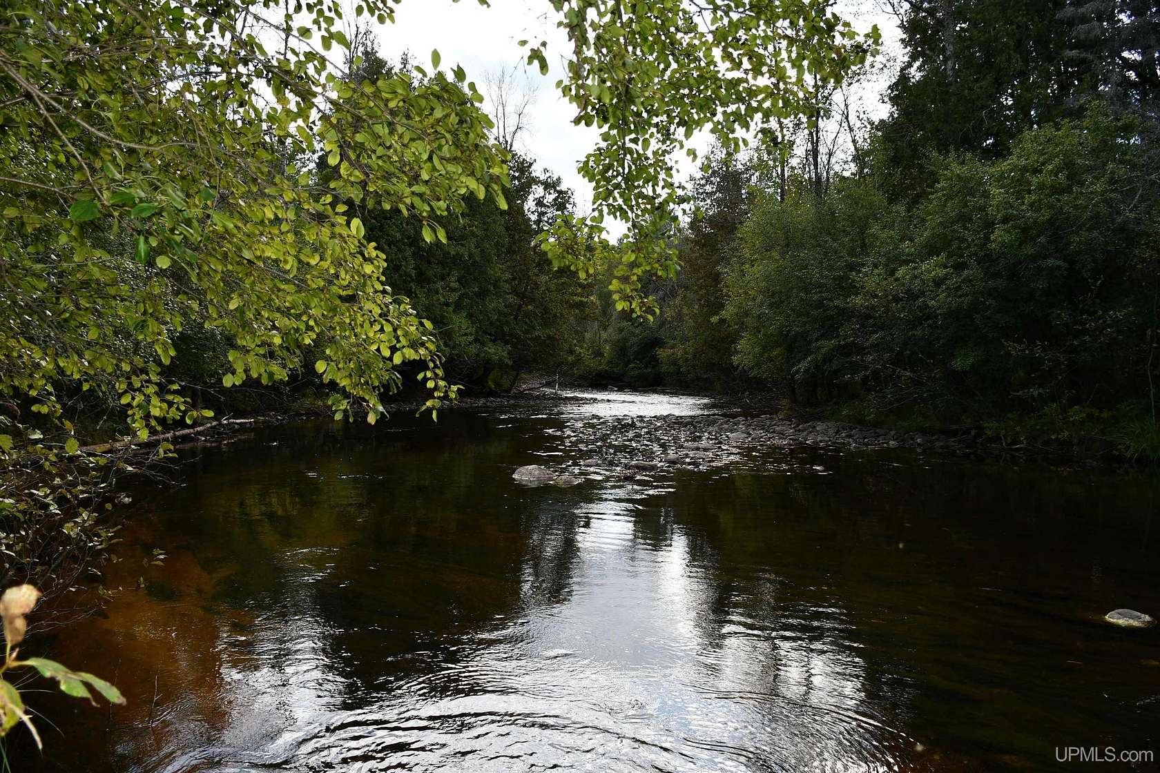 2 Acres of Residential Land for Sale in Hardwood, Michigan