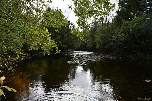 2 Acres of Residential Land for Sale in Hardwood, Michigan