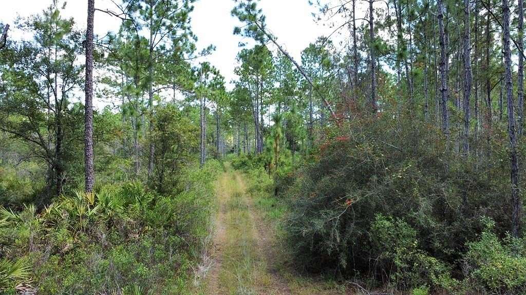 99 Acres of Recreational Land for Sale in Eastpoint, Florida