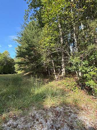 8 Acres of Residential Land for Sale in Monterey, Tennessee