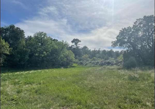 80 Acres of Land for Sale in La Jara, New Mexico