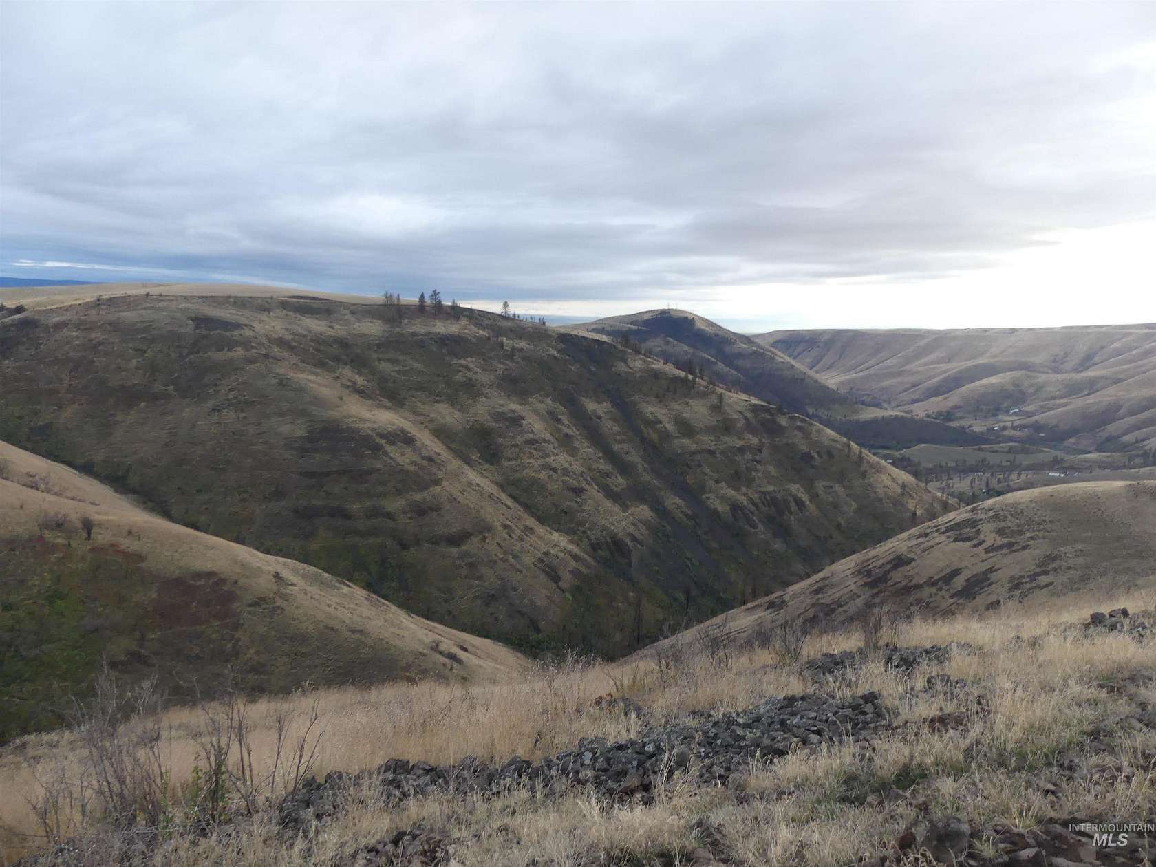 227 Acres of Land for Sale in Juliaetta, Idaho