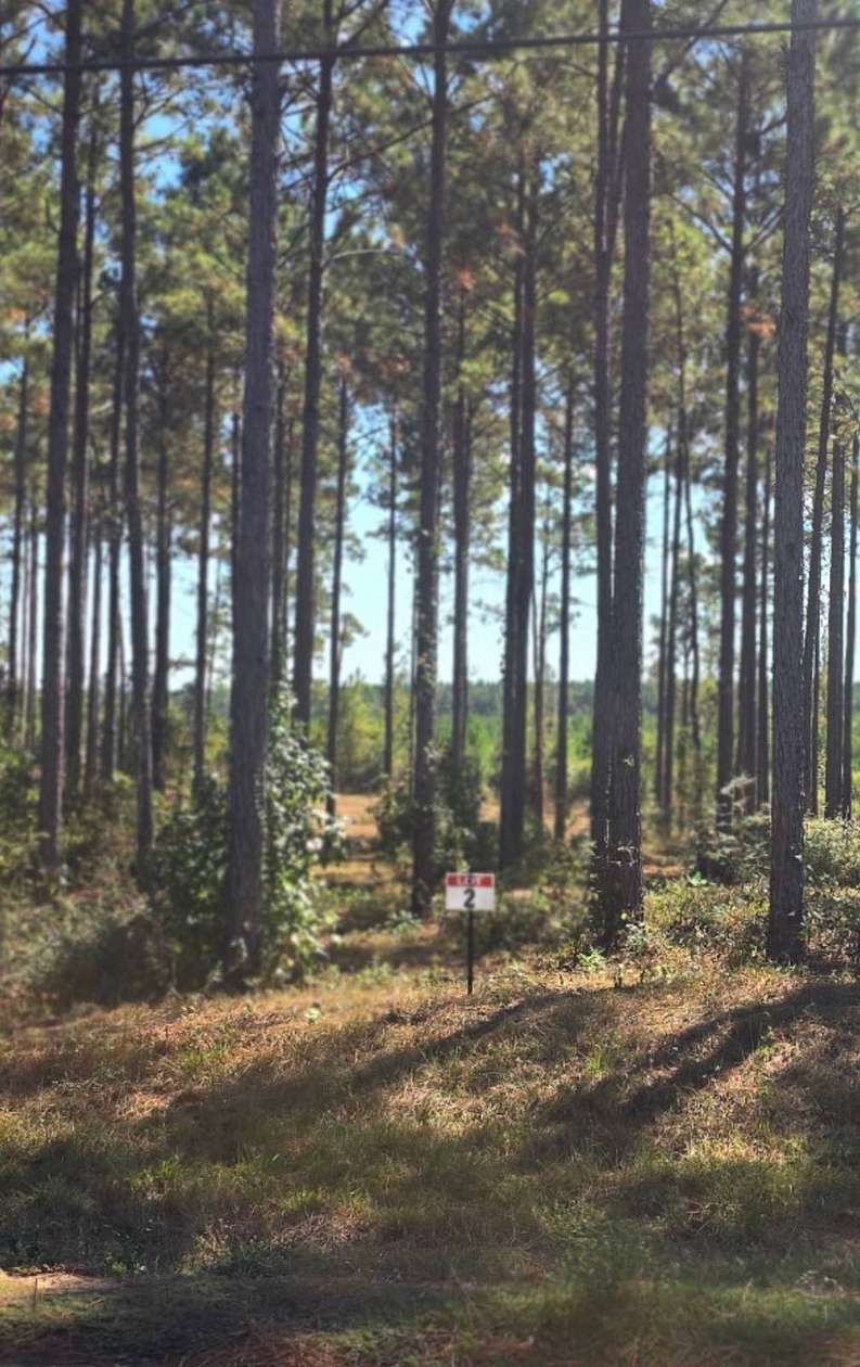 1 Acre of Residential Land for Sale in Florien, Louisiana