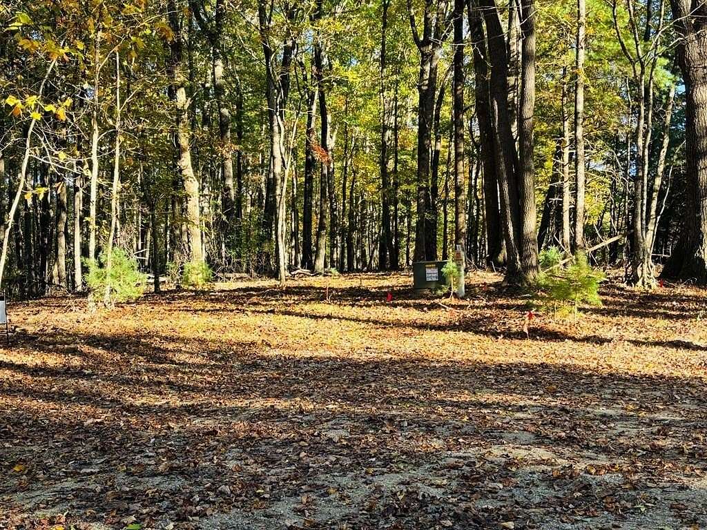 15 Acres of Land for Sale in Woodlawn, Virginia