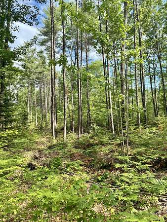 1.8 Acres of Residential Land for Sale in Farmington, Maine