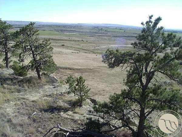 20 Acres of Agricultural Land for Sale in Shepherd, Montana
