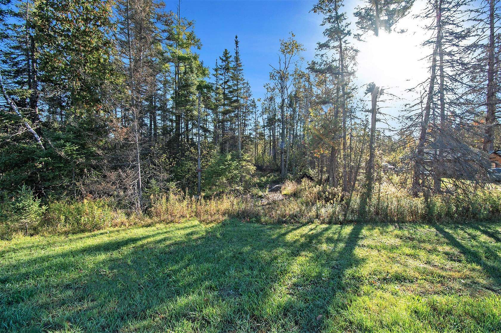 12.9 Acres of Recreational & Residential Land for Sale in Atlanta, Michigan