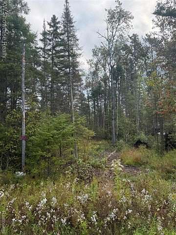 12.9 Acres of Recreational & Residential Land for Sale in Avery Township, Michigan