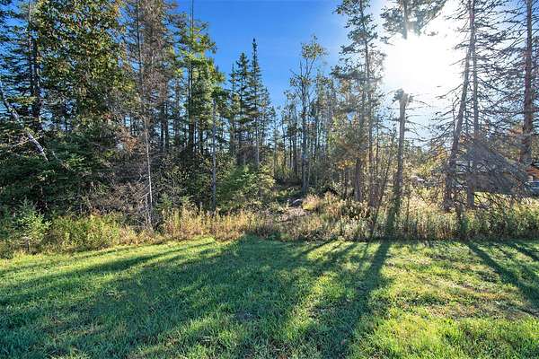 12.9 Acres of Recreational & Residential Land for Sale in Atlanta, Michigan