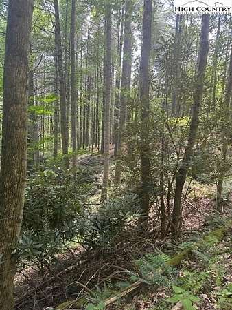 0.93 Acres of Residential Land for Sale in Crumpler, North Carolina