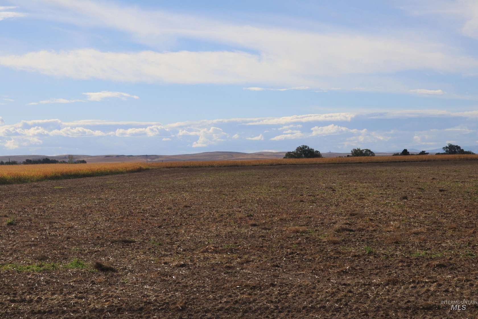 61.8 Acres of Agricultural Land with Home for Auction in Ontario, Oregon